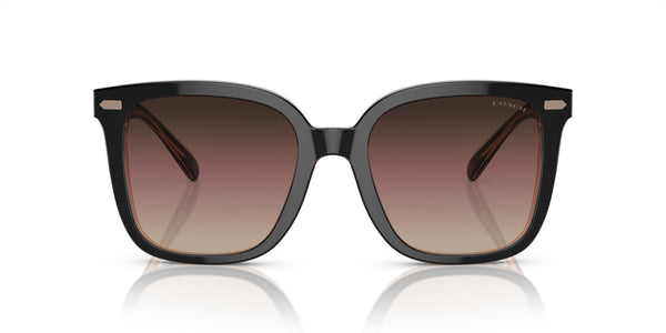 Coach HC8381F Low Bridge Fit Sunglasses, Black/Transparent Blush/Brown Purple Grey Gradient, 56 mm