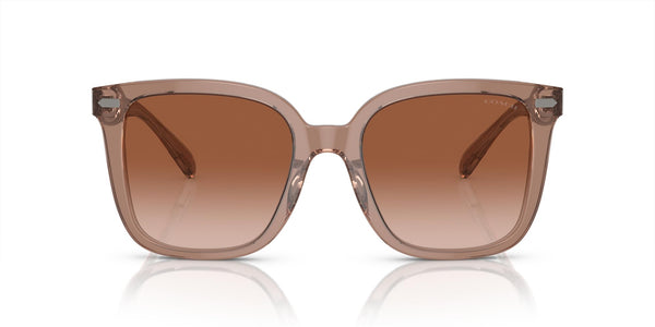 Coach HC8381F Low Bridge Fit Sunglasses, Transparent Brown/Grey/Brown Gradient, 56 mm