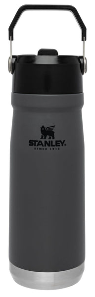 Stanley IceFlow Flip Straw Water Bottle 22 oz | Built-In Straw for Travel and Sports | Lightweight and Leak Resistant | Insulated Stainless Steel | BPA-Free | Charcoal