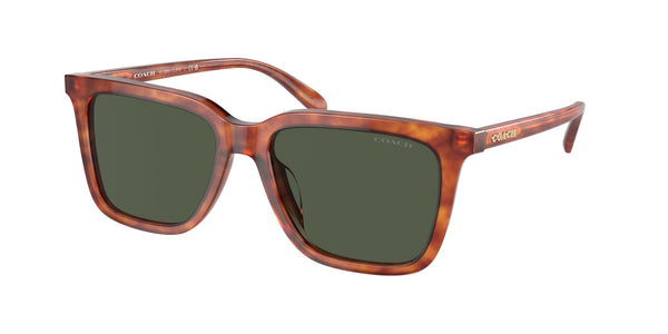 Coach HC8385U Universal Fit Sunglasses, Caramel Tortoise/Army Green Solid, 54 mm