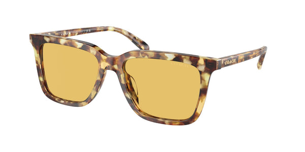 Coach HC8385U Universal Fit Sunglasses, Honey Tortoise/Amber Solid, 54 mm