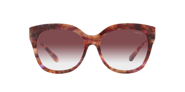 Coach HC8264 Sunglasses, Petal Tortoise/Purple Clear Gradient, 56 mm