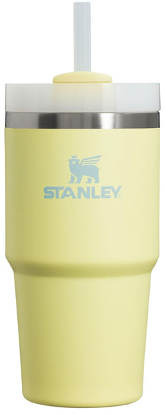 Stanley Quencher H2.0 Tumbler with Straw 20 oz | Flowstate 3-Position Lid | Cup Holder Compatible for Travel | Insulated Stainless Steel Cup | BPA-Free | Pomelo
