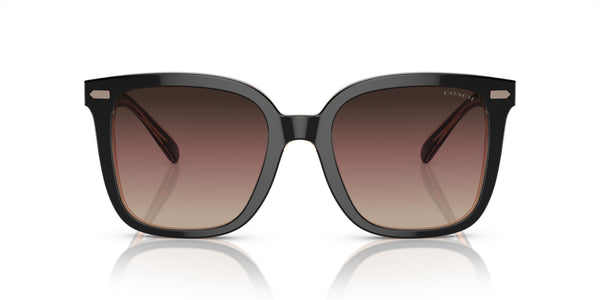 Coach HC8381U Universal Fit Sunglasses, Black/Transparent Blush/Brown Purple Grey Gradient, 54 mm