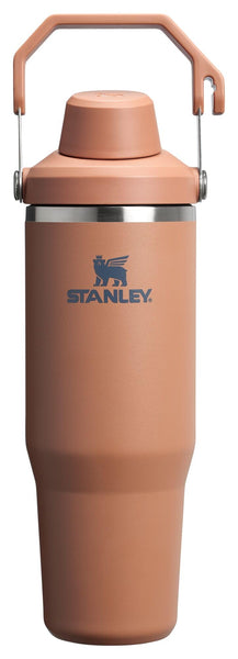 Stanley IceFlow 2.0 Fast Flow Tumbler with Handle 30 oz | Twist On Angled Spout Lid | Leakproof Water Bottle | Insulated Stainless Steel | BPA-Free | Toast