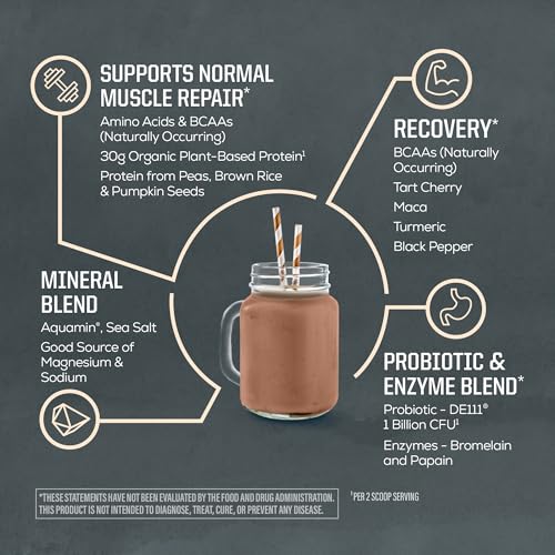 Image 4 of Sunwarrior Active Vegan Protein + Recovery Minerals, Chocolate, 20 Servings
