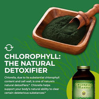 Thumbnail for Image 6 of HEALTHFORCE SUPERFOODS Chlorella Manna - Powder 350 g
