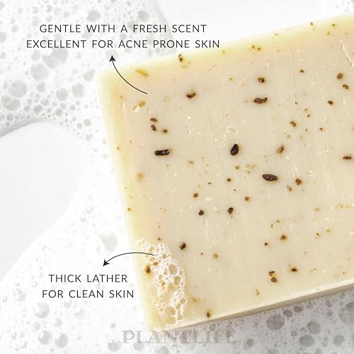 Image 3 of Plantlife Rosemary Tea Tree Bar Soap 3-Pack, Handcrafted, Vegan, 4 oz