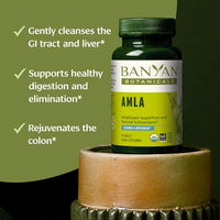 Thumbnail for Image 2 of Banyan Botanicals Organic Amla Tablets - 90 Tablets