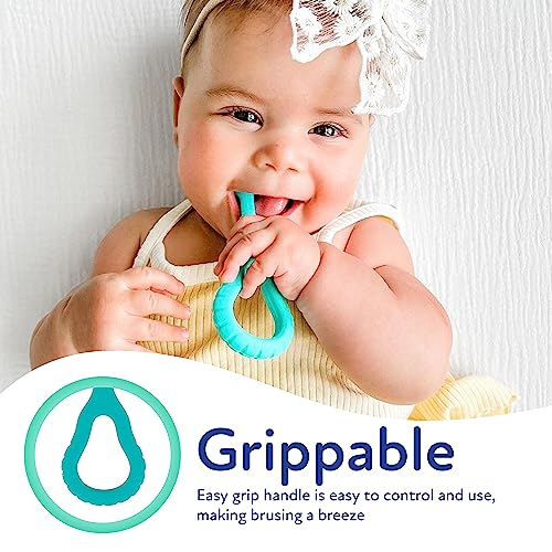 Image 3 of Dr. Talbot's Infant Toothbrush Training Set 2-Piece