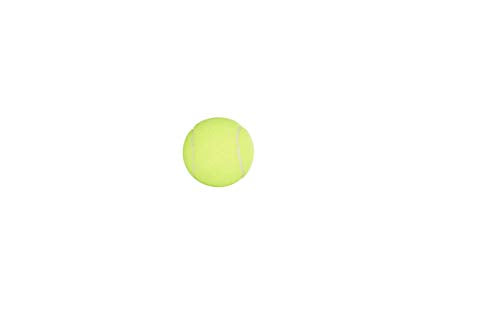 Penn Championship Tennis Balls - Regular Duty Felt Pressurized Tennis Balls - 1 Can, 3 Balls