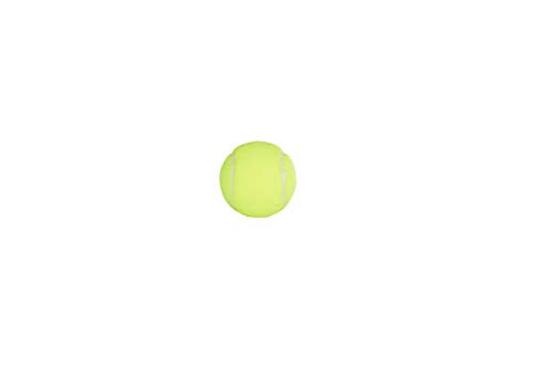 Penn Championship Tennis Balls - Extra Duty Felt Pressurized - 3 Balls (Pack of 4)
