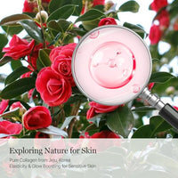 Thumbnail for Image 5 of ROUND LAB Camellia Collagen PDRN Milky Toner 5.07 Fl Oz