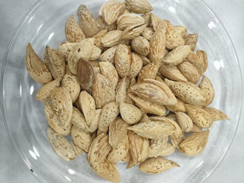 Image 5 of Generic Premium Almonds Paper Shell Almonds