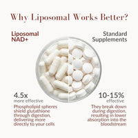 Thumbnail for Image 6 of Aurora Nutrascience Liposomal NAD+ & Resveratrol Healthy Aging, 60 Capsules