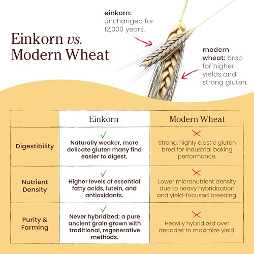 Image 6 of Jovial Organic Einkorn Pancake & Waffle Mix, 16 Oz