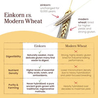 Thumbnail for Image 6 of Jovial Organic Einkorn Pancake & Waffle Mix, 16 Oz