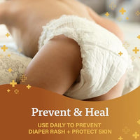 Thumbnail for https://shopify-staged-uploads.storage.googleapis.com/tmp/97228161387/files/dae2d0e7-ed2f-4bd2-bec0-687e63549ebd/2080534656c676cc05853ba00b5b10ac5da63162.img