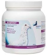 Thumbnail for Generic PHP Recup Fast 500g Pigeon Because A Fast Recovery is Essential! Used and Reccomened by JOS THONE