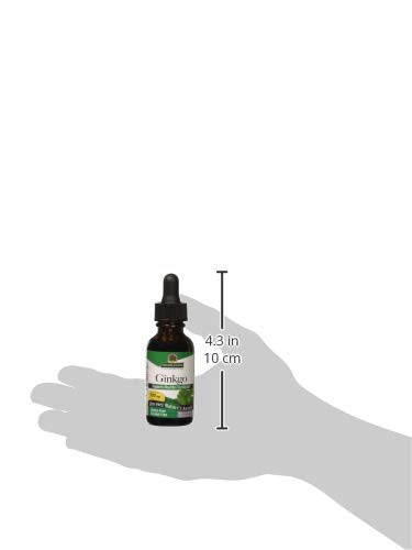 Nature's Answer Gingko Leaf | Stimulates Healthy Memory, Mood & Concentration | Gluten-Free, Alcohol-Free, Kosher Certified & No Preservatives 1oz