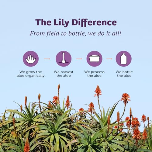 Image 6 of Lily Of The Desert Gelly Aloe Vera Moisturizer 2-Pack, 12 Oz Each