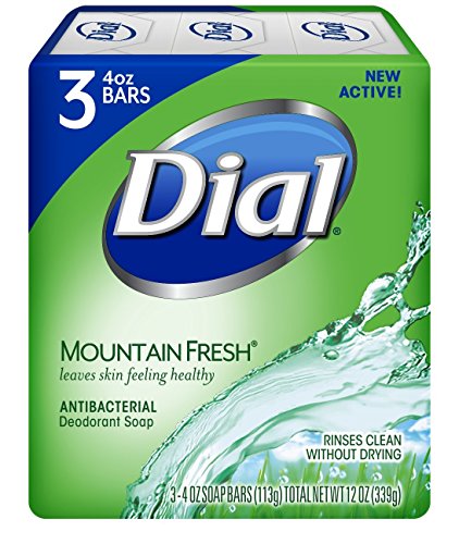 Image 1 of Default Title for the product Dial Mountain Fresh Antibacterial Deodorant Soap 4.5 ounces each 3-Count (2 Pack)