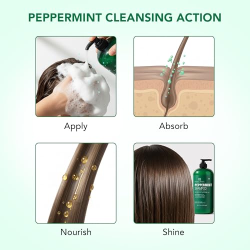 Image 6 of Botanic Hearth Tea Tree Shampoo, Vitamin C, Peppermint, Lavender and Rosemary Oil, Fights Dandruff and Dry Scalp (Peppermint Oil)