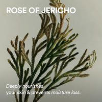 Thumbnail for Image 5 of Abib Jericho Rose Non-animal Collagen Pad Firming Touch 60pads 8.45 fl.oz.