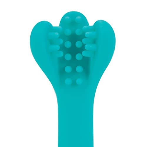 Image 4 of Dr. Talbot's Infant Toothbrush Training Set 2-Piece