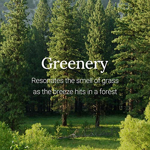 Image 4 of FRUDIA Re:proust Essential Blending Hand Cream Greenery 1.76 fl oz