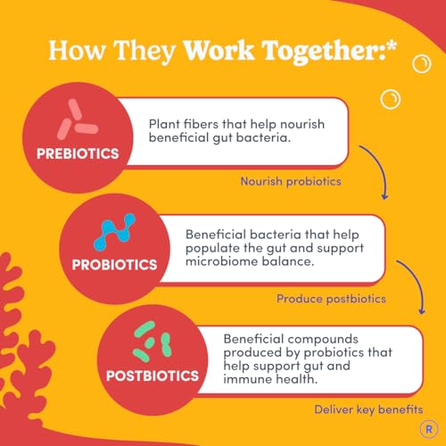 Image 4 of FIRST DAY Kids Probiotic Gummies, 3-in-1 Prebiotic + Postbiotic, 60ct