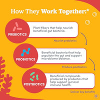 Thumbnail for Image 4 of FIRST DAY Kids Probiotic Gummies, 3-in-1 Prebiotic + Postbiotic, 60ct