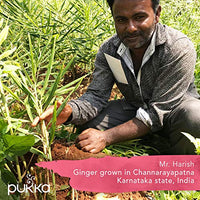 Thumbnail for Image 8 of Pukka Elderberry & Echinacea Organic Herbal Tea