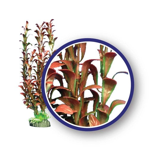 Weco Products Freshwater Series Hygrophilia Aquarium Plant Red, 1 Each/12 in by Weco