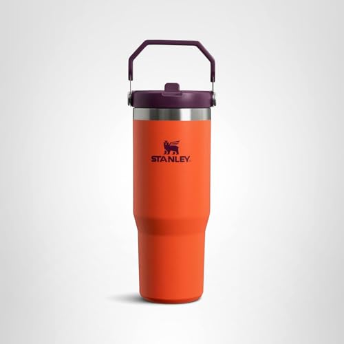 Stanley IceFlow Flip Straw Tumbler with Handle 30 oz | Twist On Lid and Flip Up Straw | Leak Resistant Water Bottle | Insulated Stainless Steel |BPA-Free | Tigerlily Plum