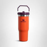 Thumbnail for Stanley IceFlow Flip Straw Tumbler with Handle 30 oz | Twist On Lid and Flip Up Straw | Leak Resistant Water Bottle | Insulated Stainless Steel |BPA-Free | Tigerlily Plum