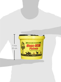 Thumbnail for RICHDEL MegaMSM Pellets for Horses, 5.6 Pounds