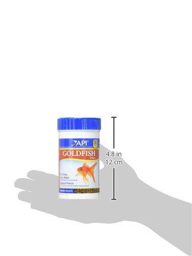 API GOLDFISH PELLETS Fish Food 4-Ounce Container, Medium, Model:833B