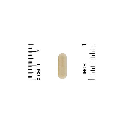 Agaricus Blazei, 90 Veggie Capsules, California Gold Nutrition