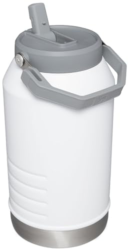 Stanley IceFlow Flip Straw Jug with Handle 96 oz| Twist On Lid and Flip Up Straw | Leak Resistant for Travel and Sports | Insulated Stainless Steel | BPA-Free | Polar