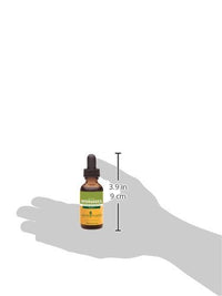 Thumbnail for Herb Pharm Hydrangea Liquid Extract for Urinary System Support, 1 Fl Oz