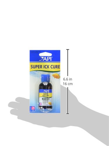 API LIQUID SUPER ICK CURE Freshwater and Saltwater Fish Medication Bottle, 1.7 oz (12A)