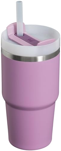 Stanley Quencher H2.0 Tumbler with Straw 20 oz | Flowstate 3-Position Lid | Cup Holder Compatible for Travel | Insulated Stainless Steel Cup | BPA-Free | Lilac