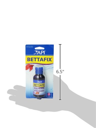 API BETTAFIX Antibacterial & Antifungal Betta Fish Infection and Fungus Remedy 1.7-Ounce Bottle