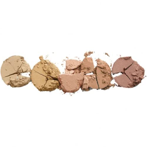 Colorescience Mineral Corrector Palette SPF 20 , 1 Count (Pack of 1)