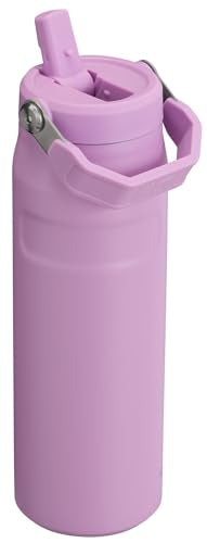Stanley IceFlow Flip Straw 2.0 Water Bottle 24 OZ | Built-In Straw with Larger Opening | Lightweight & Leak-Resistant | Insulated Stainless Steel | BPA-Free | Lilac