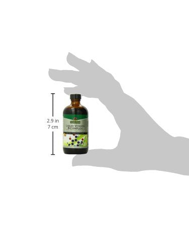 Nature's Answer Liquid Vitamin B-Complex Supports Healthy Energy Levels | Promotes Healthy Nerve Function | All-Natural Tangerine Flavor | Gluten-Free & Benzoate-Free 8oz