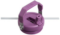 Thumbnail for Stanley IceFlow Flip Straw Tumbler with Handle 30 oz | Twist On Lid and Flip Up Straw | Leak Resistant Water Bottle | Insulated Stainless Steel |BPA-Free | Lilac