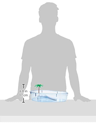 Lee's Turtle Lagoon, Kidney w/ Plant, 14-Inch by 10-1/8-Inch by 3-Inch