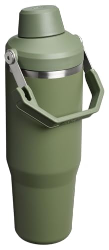 Stanley IceFlow 2.0 Fast Flow Tumbler with Handle 30 oz | Twist On Angled Spout Lid | Leakproof Water Bottle | Insulated Stainless Steel | BPA-Free | Dried Pine